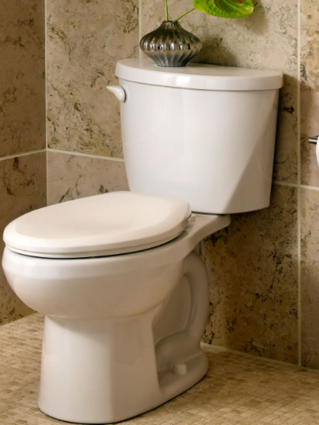 Replace an old, leaky toilet with these simple steps.